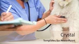  Presentation with lab animal - Theme featuring dog at a small animal background and a lemonade colored foreground