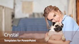  Presentation with dog - Cool new presentation theme with dog at home pet adoption backdrop and a tawny brown colored foreground