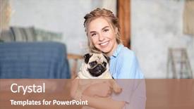  Presentation with adoption - PPT theme having dog at home pet adoption background and a coral colored foreground