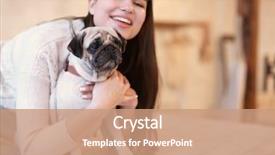  Presentation with dog - Presentation enhanced with dog at home pet adoption background and a coral colored foreground