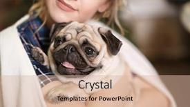  Presentation with adoption - Slides featuring dog at home pet adoption background and a coral colored foreground