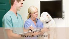  Presentation with vet - Slide deck consisting of dog at the vet having background and a soft green colored foreground