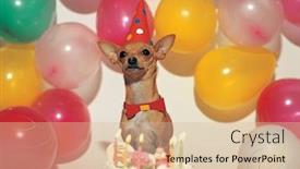  Presentation with birthday party - Audience pleasing slides consisting of dog birthday party backdrop and a lemonade colored foreground