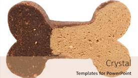  Presentation with biscuit - PPT layouts having dog-biscuit-snack-for-pets background and a coral colored foreground