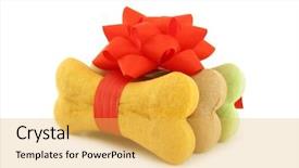  Presentation with bone - Amazing theme having dog biscuits bone shaped wrapped backdrop and a yellow colored foreground