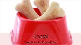  Presentation with dog food - Cool new PPT theme with dog biscuits shaped like bone backdrop and a  colored foreground