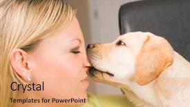  Presentation with puppy - Slides featuring dog bite - cute labrador retriever puppy biting background and a coral colored foreground