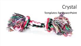  Presentation with hanging rope pictures white - Audience pleasing PPT theme consisting of dog bite - puppy rope teether shot backdrop and a  colored foreground