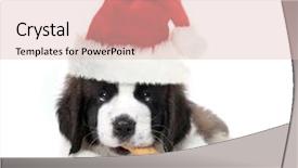  Presentation with dog christmas - Audience pleasing theme consisting of dog bone - christmas santa clause saint bernard backdrop and a lemonade colored foreground