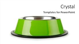  Presentation with pet - Amazing presentation design having dog bone - pet bowl isolated backdrop and a white colored foreground