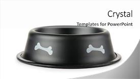  Presentation with pet - Colorful theme enhanced with dog bone - pet bowl isolated backdrop and a white colored foreground