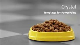  Presentation with pet food - Colorful PPT theme enhanced with dog bone - pet food in a yellow backdrop and a gray colored foreground