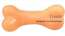  Presentation with bone - PPT theme featuring dog-bone-beige-pet-toy background and a coral colored foreground