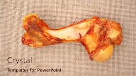  Presentation with bone - Slides enhanced with dog-bone-on-a-sizal background and a coral colored foreground