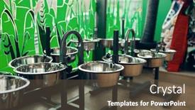  Presentation with pet - Slides consisting of dog-bowls-variety-on-showcase background and a tawny brown colored foreground