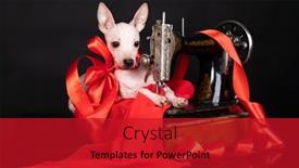  Presentation with dog - PPT theme featuring dog-breed-hairless-american-terrier background and a crimson colored foreground