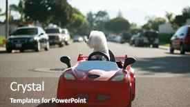  Presentation with dog - Amazing slide set having dog car ride dog enjoys backdrop and a tawny brown colored foreground