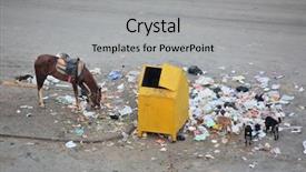  Presentation with rubbish dump vehicle safety - Theme featuring dog cat horse - rubbish-bin and garbage background and a light gray colored foreground