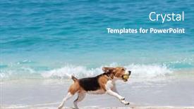  Presentation with beach ball - 