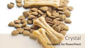  Presentation with dog food - Beautiful PPT layouts featuring dog-chew-bone-and-dry backdrop and a yellow colored foreground