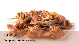  Presentation with fishes - Audience pleasing slides consisting of dog chew snack fishes isolated backdrop and a coral colored foreground