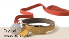  Presentation with registration - PPT layouts featuring dog colar with registration tag background and a yellow colored foreground