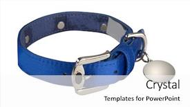  Presentation with human and dog paw print - Audience pleasing slide deck consisting of dog collar isolated backdrop and a white colored foreground