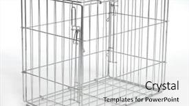  Presentation with cage - Beautiful theme featuring dog crate or animal cage backdrop and a light gray colored foreground