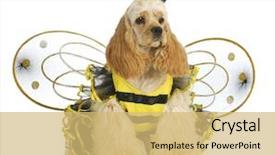  Presentation with bee - Slide deck consisting of dog dressed like a bee background and a yellow colored foreground