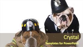  Presentation with police dog - Presentation theme consisting of dog dressed up as firefighter background and a tawny brown colored foreground