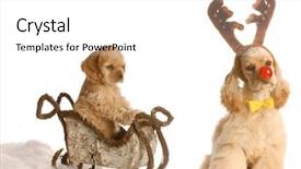  Presentation with puppy english cocker spaniel - Presentation theme featuring dog dressed up as rudolph background and a white colored foreground