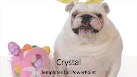  Presentation with easter - Amazing theme having dog dressed up for easter backdrop and a  colored foreground