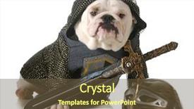  Presentation with fancy dress - PPT layouts enhanced with dog dressed up background and a tawny brown colored foreground