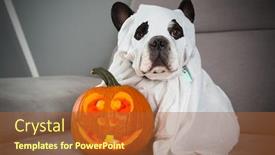  Presentation with ghost - Amazing presentation theme having dog dressed up as a ghost and halloween glowing pumpkin at home backdrop and a red colored foreground