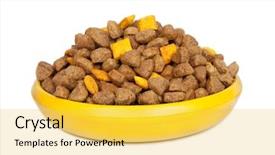  Presentation with dog food - Audience pleasing theme consisting of dog dry food in a bowl backdrop and a yellow colored foreground
