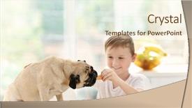  Presentation with cute - Cool new slide deck with dog food - cute boy feeding pug backdrop and a cream colored foreground