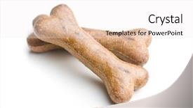  Presentation with snack food - Theme featuring dog food bone snack isolated background and a white colored foreground