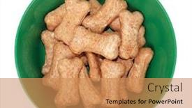  Presentation with dog food - Theme with dog-food-bowl-with-dog background and a coral colored foreground