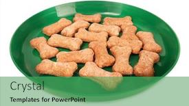  Presentation with dog food - Amazing PPT theme having dog-food-bowl-with-dog backdrop and a ocean colored foreground