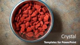  Presentation with dog food - Presentation having dog-food-in-a-bowl background and a tawny brown colored foreground