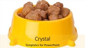  Presentation with dog food - Slide deck with dog food in a bowl background and a light gray colored foreground