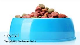  Presentation with dog food - Amazing presentation having dog food in blue bowl backdrop and a arctic colored foreground