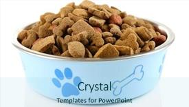  Presentation with dog food - Cool new slide set with dog food in bowl isolated backdrop and a light blue colored foreground