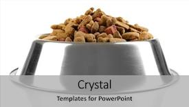  Presentation with dog food - Beautiful PPT theme featuring dog food in bowl isolated backdrop and a light gray colored foreground
