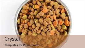  Presentation with dog food - Slide set enhanced with dog-food-in-bowl-isolated background and a red colored foreground
