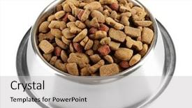  Presentation with dog food - Presentation theme enhanced with dog-food-in-bowl-isolated background and a light gray colored foreground