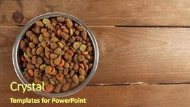  Presentation with dog food - Presentation featuring dog food in bowl background and a tawny brown colored foreground