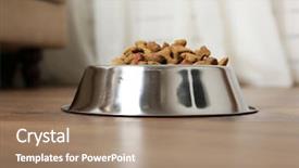  Presentation with dog food - Presentation theme enhanced with dog food in bowl background and a coral colored foreground