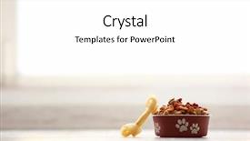  Presentation with dog food - Beautiful theme featuring dog food in bowl backdrop and a white colored foreground