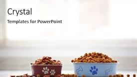  Presentation with dog food - Audience pleasing slides consisting of dog food in bowls backdrop and a pink colored foreground